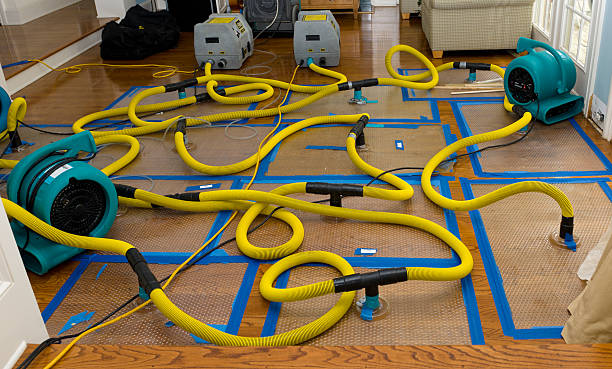Professional Burst Pipe Water Damage technician working in Greenfield, IN
